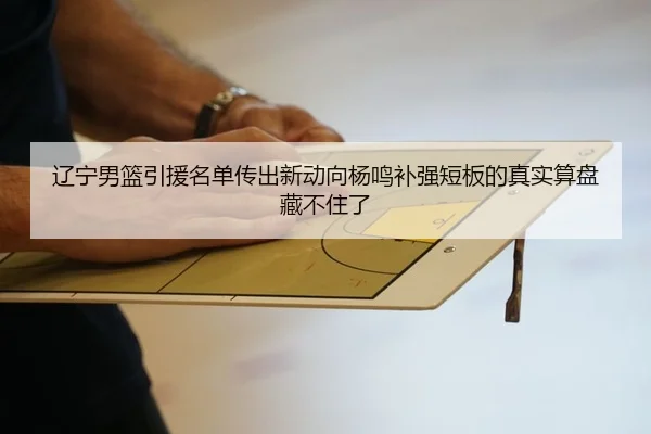 辽宁男篮引援名单传出新动向杨鸣补强短板的真实算盘藏不住了